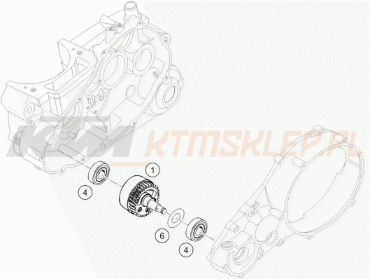 Schemat "BALANCER SHAFT" do KTM 450 RALLYE FACTORY REPL.