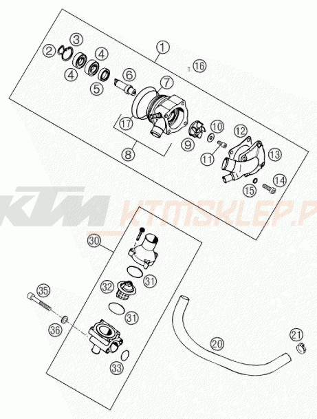 Schemat "pompa wody" do KTM 660 SM FACTORY REPLICA