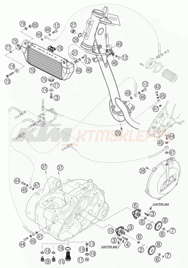 Schemat "smarowanie silnika" do KTM 660 RALLYE FACTORY REPL.