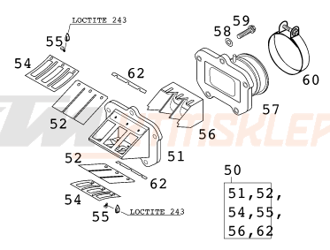 Schemat "REED VALVE CASE" do KTM 200 EXC - GS 8kW