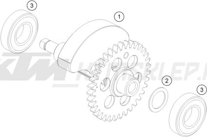 Schemat "BALANCER SHAFT" do KTM 690 ENDURO R