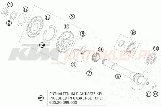 Schemat "BALANCER SHAFT" do KTM 950 SUPER ENDURO R