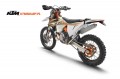 KTM 300 EXC TPI ERZBERGRODEO 2020